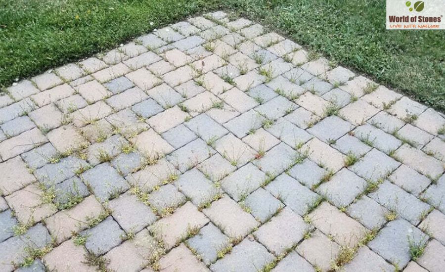 Weeds Growing Between Pavers