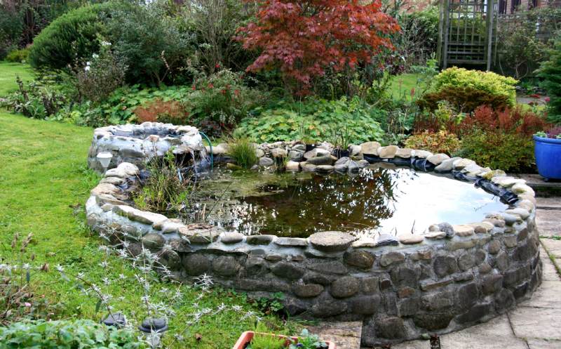 Tips to Create An Outdoor Fish Pond With Natural Stone