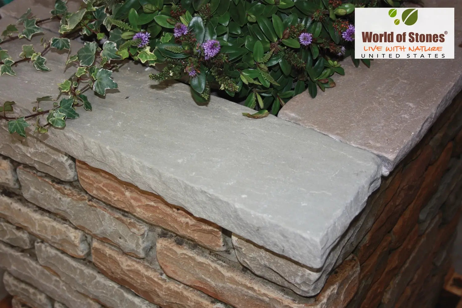 List of Top 5 Different Types of Coping in Wall
